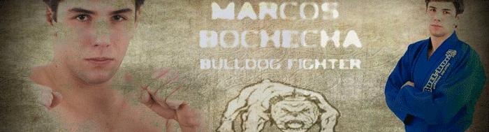 ＢＵＬＬＤＯＧのロゴ"