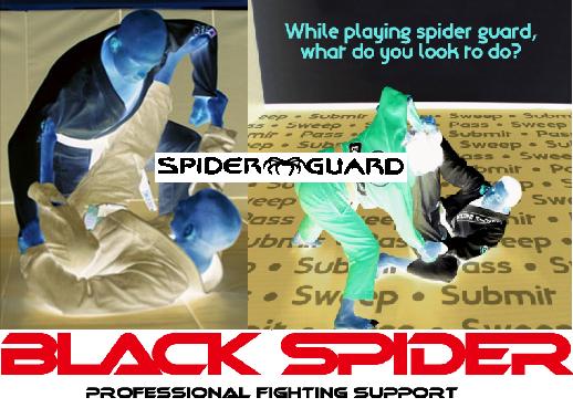 グラウンドスター ブラックスパイダー